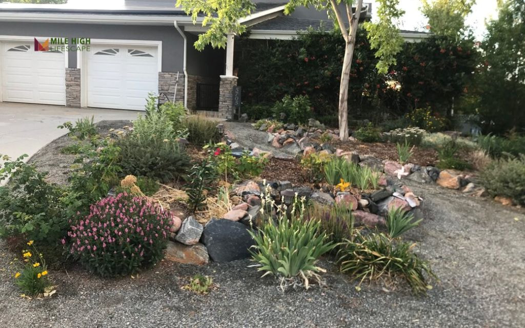 Xeriscape-Inspired Rock Gardens