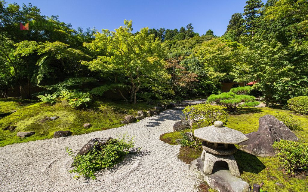 Zen Gravel Garden with Minimalist Planting