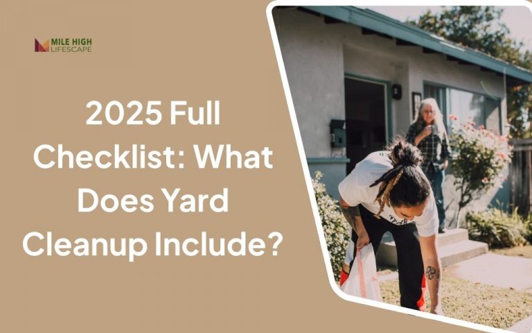 2025 Full Checklist: What Does Yard Cleanup Include?