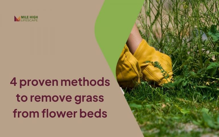 4 proven methods to remove grass from flower beds