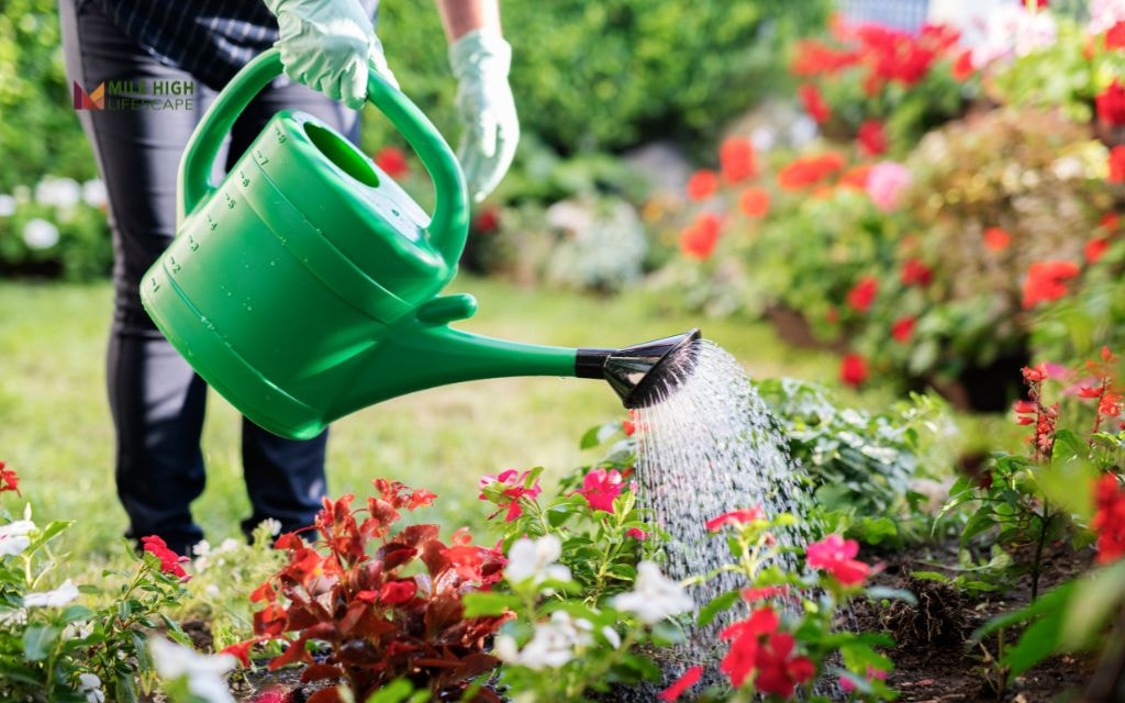 Flower Bed Care Tips for Denver Homeowners