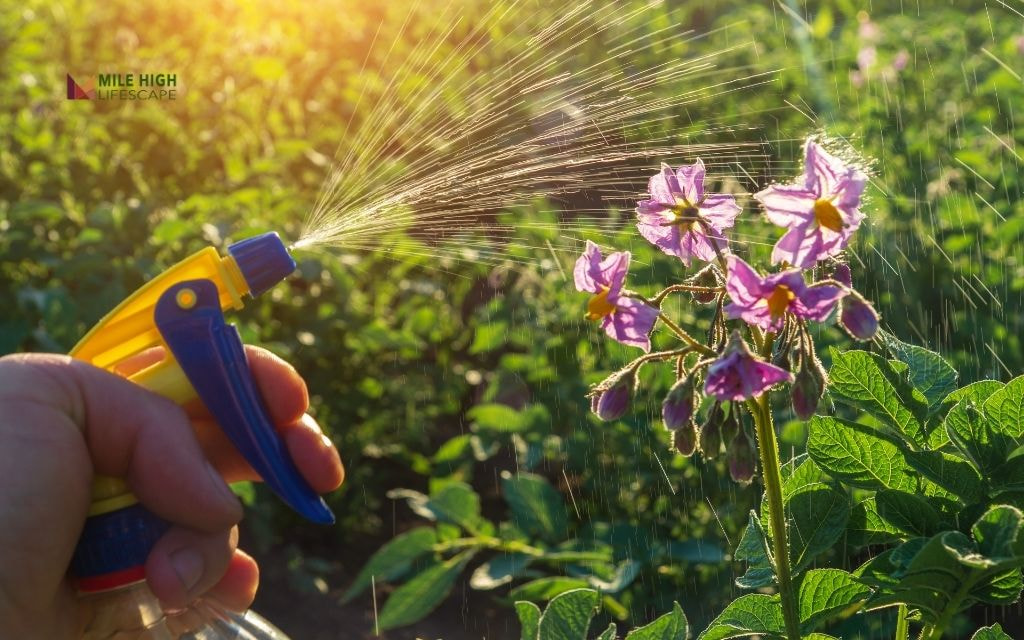 Herbicide solutions