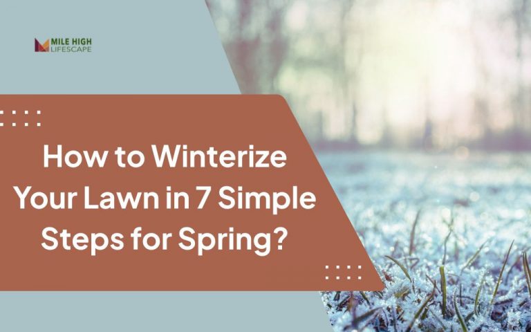 How Do You Winterize Your Lawn For Healthy Spring Growth In Denver?