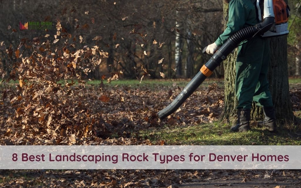 How Much Does It Cost for Leaf Removal in 2025? Complete Pricing Guide & Tips for Denver Homeowners
