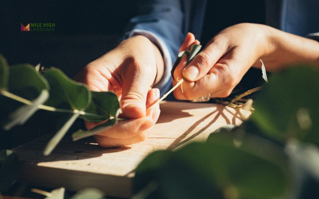 How Much Does Leaf Removal Cost in Denver?