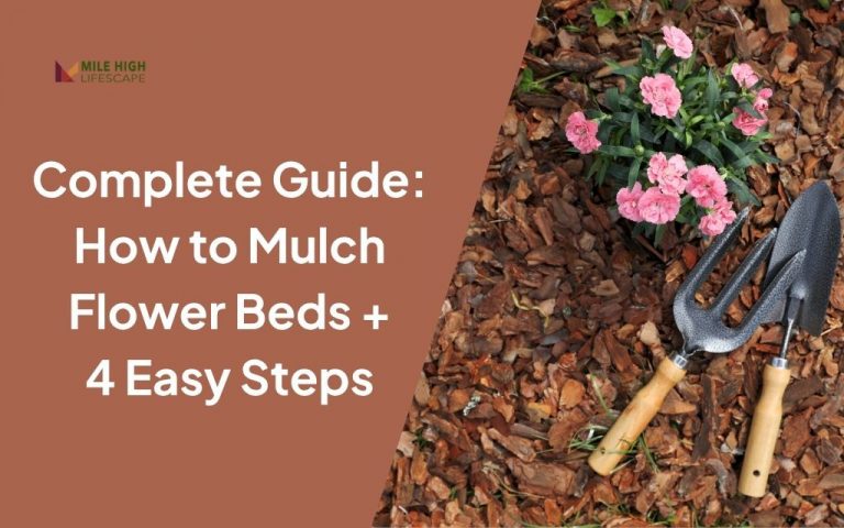 How to Mulch Flower Beds in Denver for Long-Lasting Garden (4 Easy Steps)