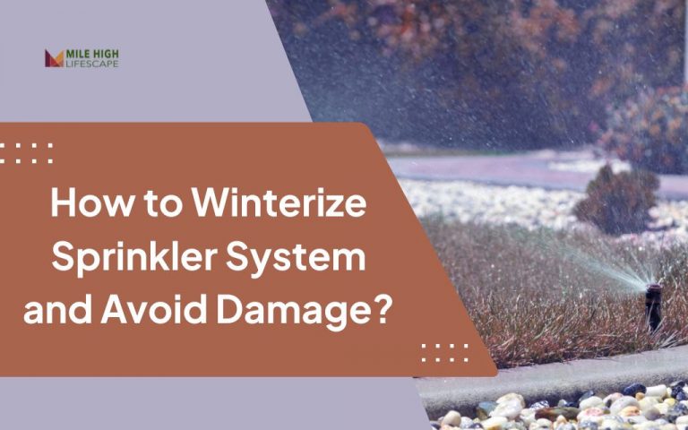 How to Properly Winterize Your Sprinkler System for Denver Winters?