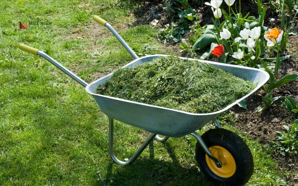 How to Re-Mulch Flower Beds (Maintenance Refresh)