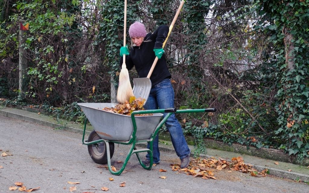 How to Save on Leaf Removal Costs?