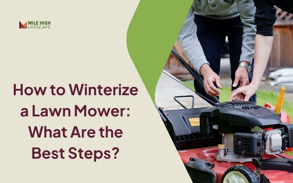 How to Winterize a Lawn Mower and Protect It from Damage?