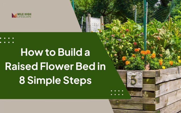 Learn How to Build a Raised Flower Bed in 8 Steps for Your Denver Garden