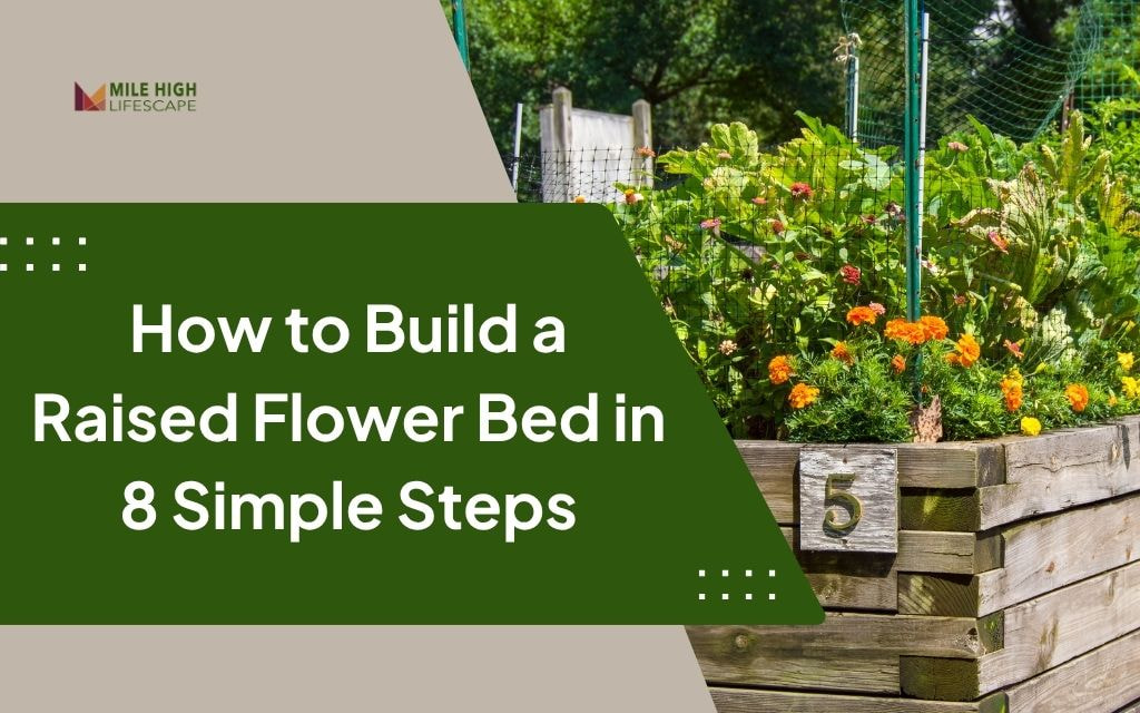 Learn How to Build a Raised Flower Bed in 8 Steps for Your Denver Garden
