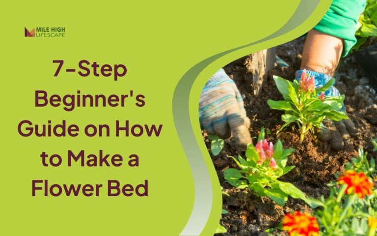 Learn How to Make a Flower Bed That Thrives in Colorado for Your Garden
