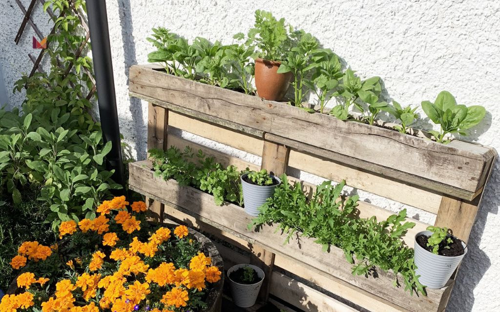Living Wall Raised Bed with Flowers + Edibles Mixed