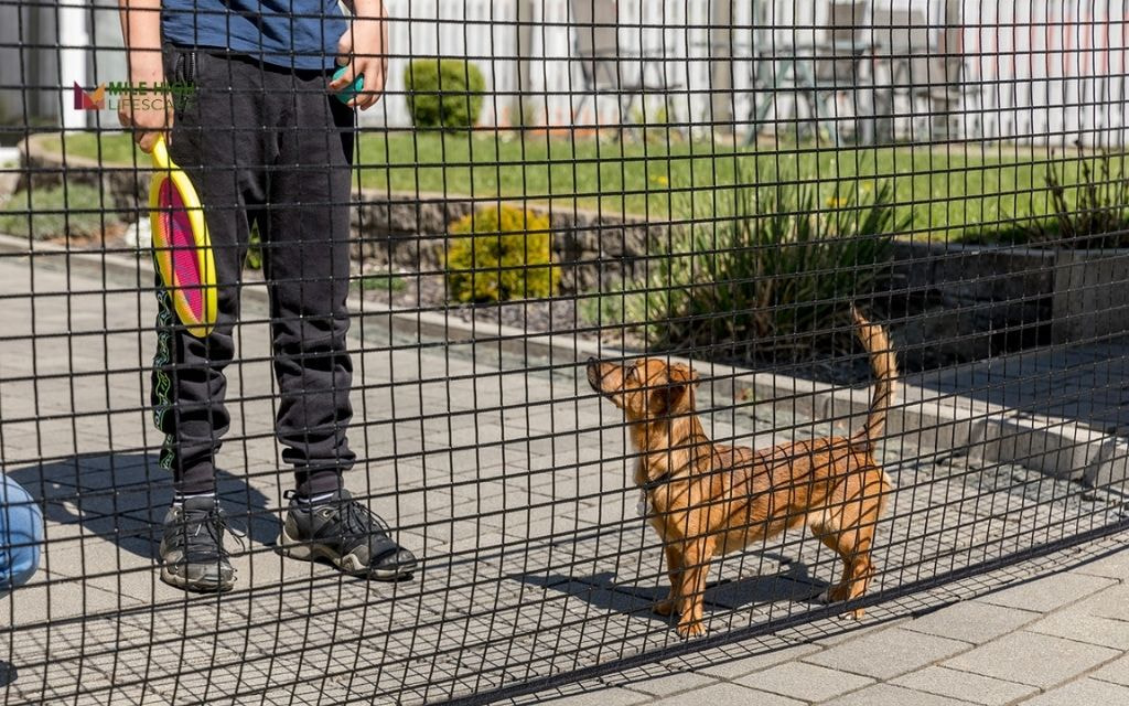 Physical Barriers: Fencing & Edging