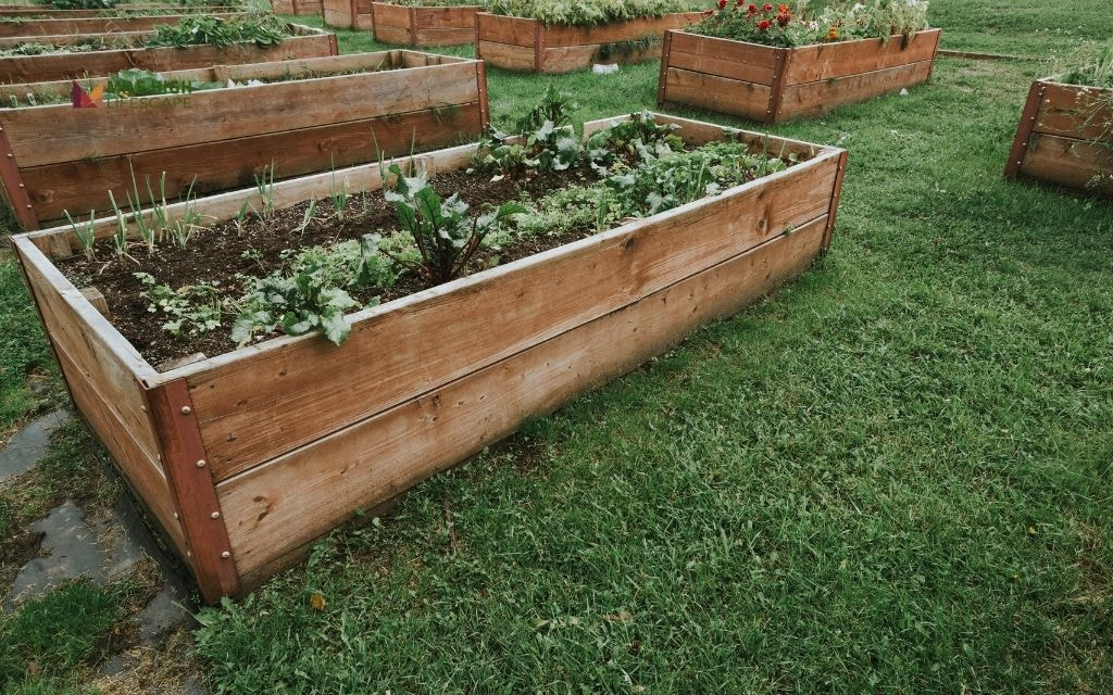 Rectangular Wooden Raised Bed