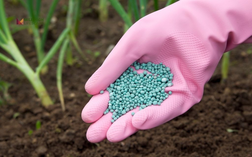 Soil restoration after grass removal