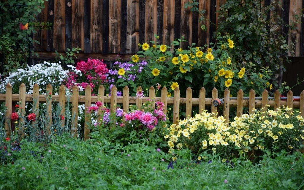 Step 2: Plan Your Flower Bed Design with Local Climate in Mind
