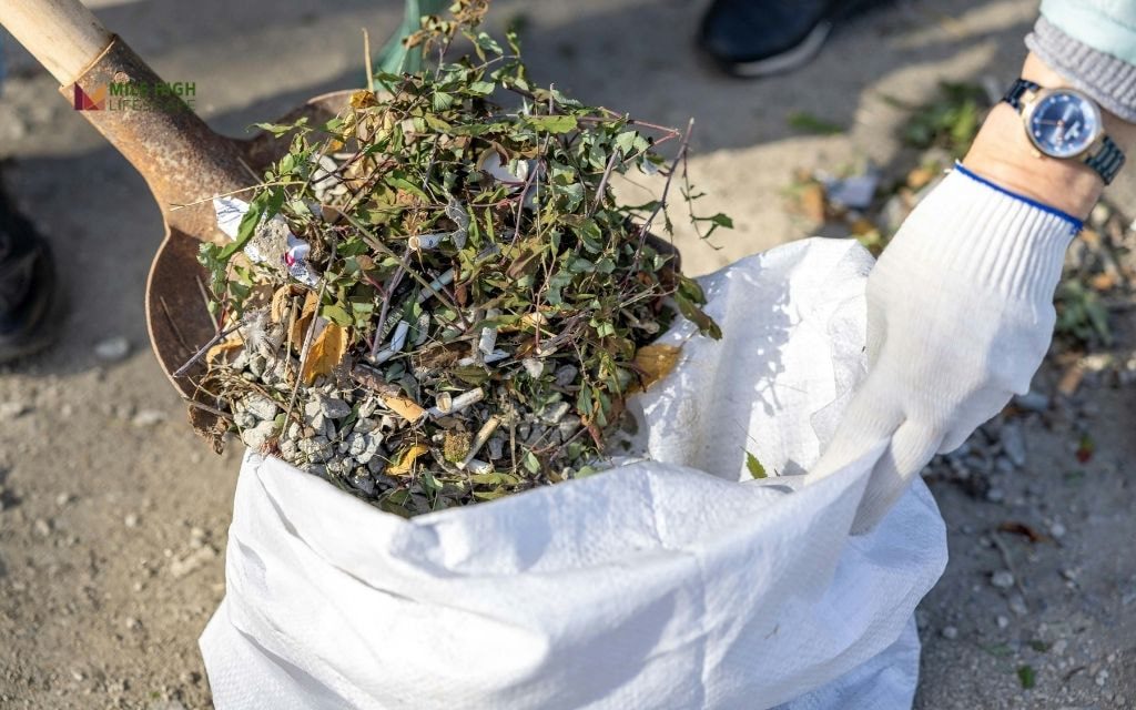 Task 1: Debris and leaf removal