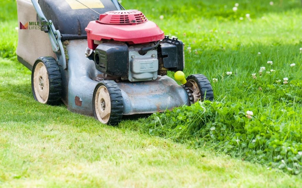 Task 2: Lawn mowing, edging, and trimming