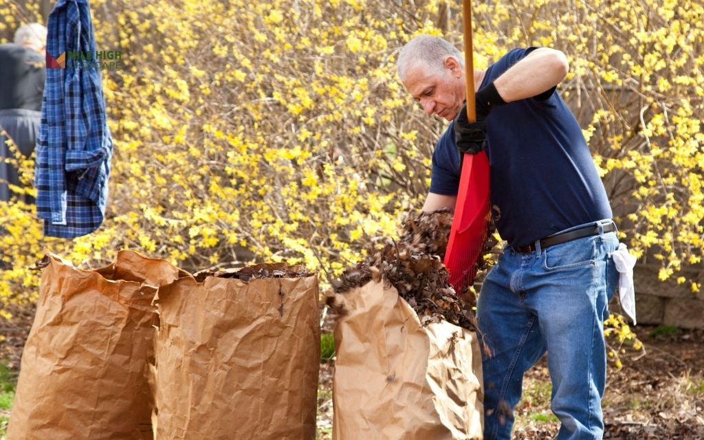 Tips to save on yard cleanup