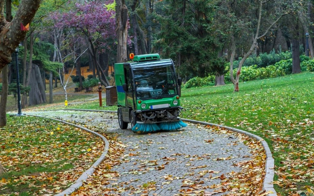 What Factors Affecting the Cost of Leaf Removal?