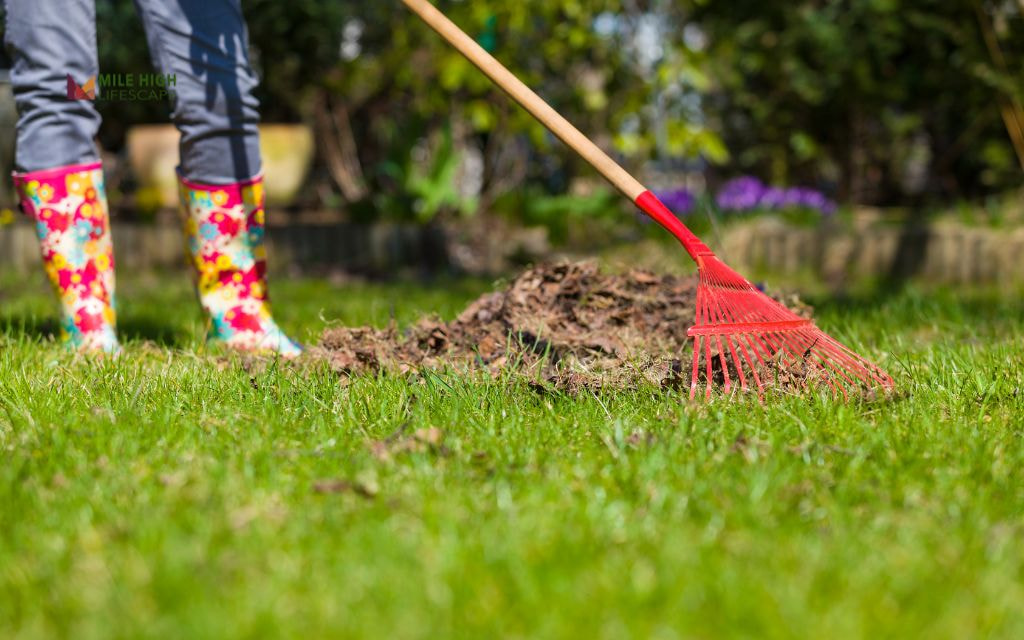 When is the best time for yard cleanup?