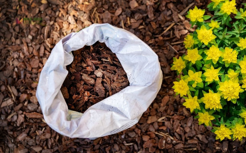 When is the Best Time to Mulch Flower Beds?
