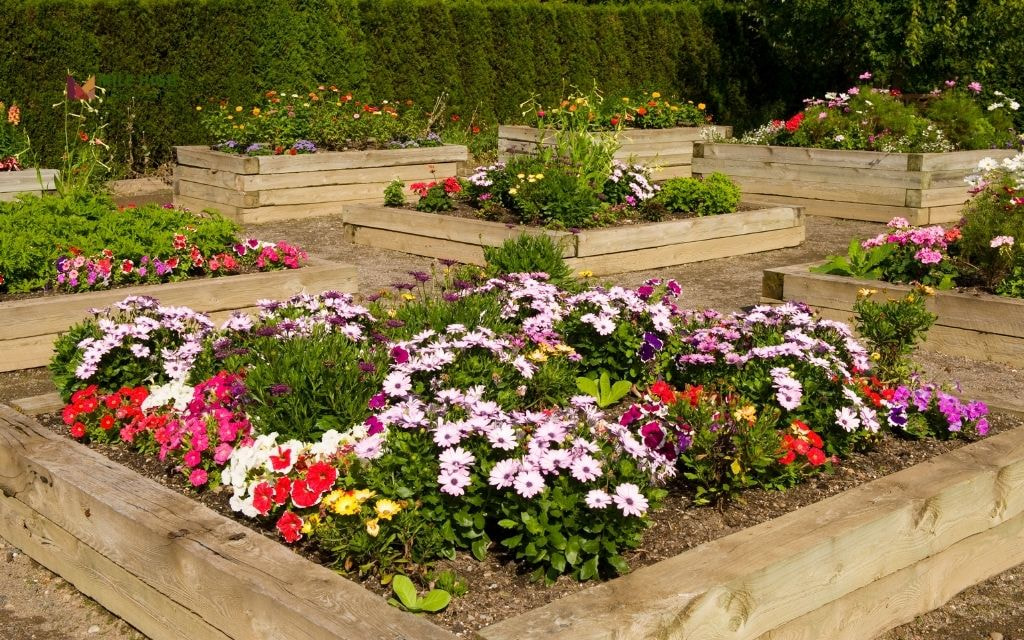 Why Should You Build Raised Garden Beds?