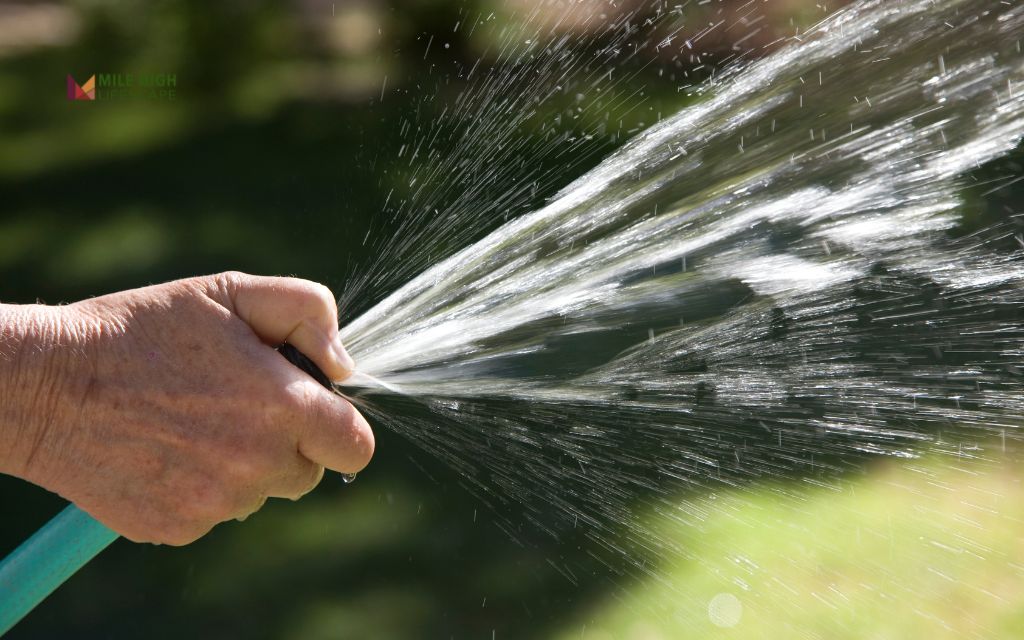 Establish effective rinsing protocols