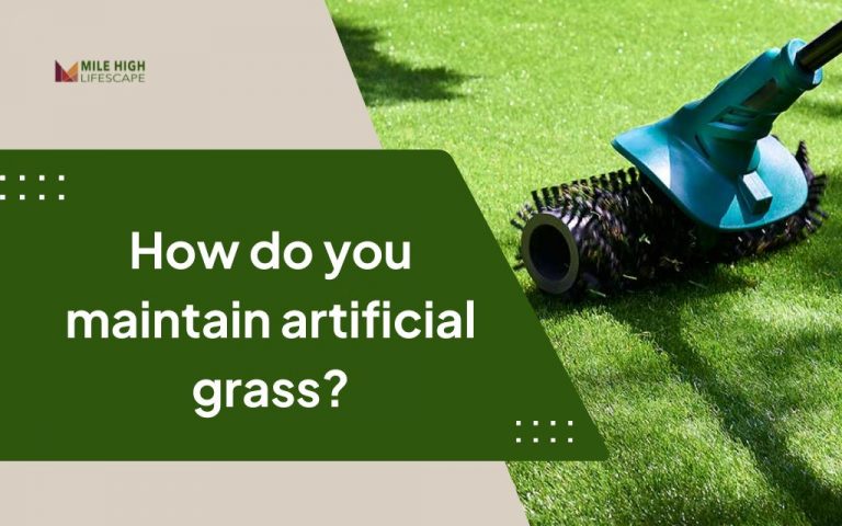 How do you maintain artificial grass? Complete care guide for homeowners