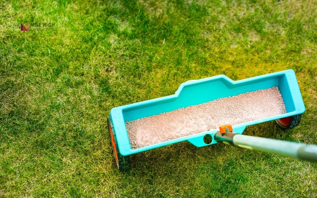 How to apply fertilizer in fall