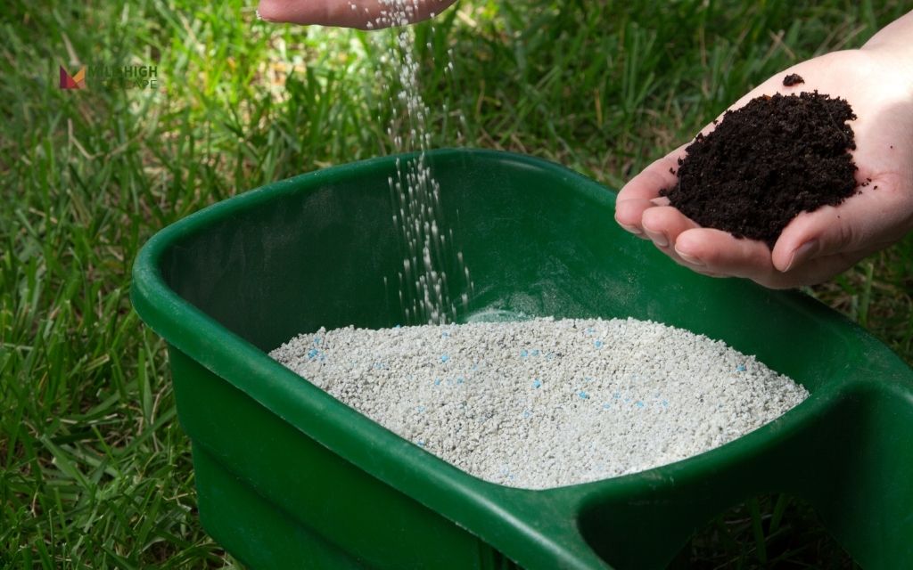 How to choose the right fall fertilizer for your lawn