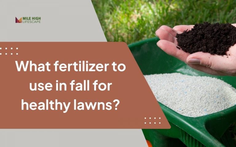 What fertilizer to use in fall: Fall fertilizer application step-by-step success guide