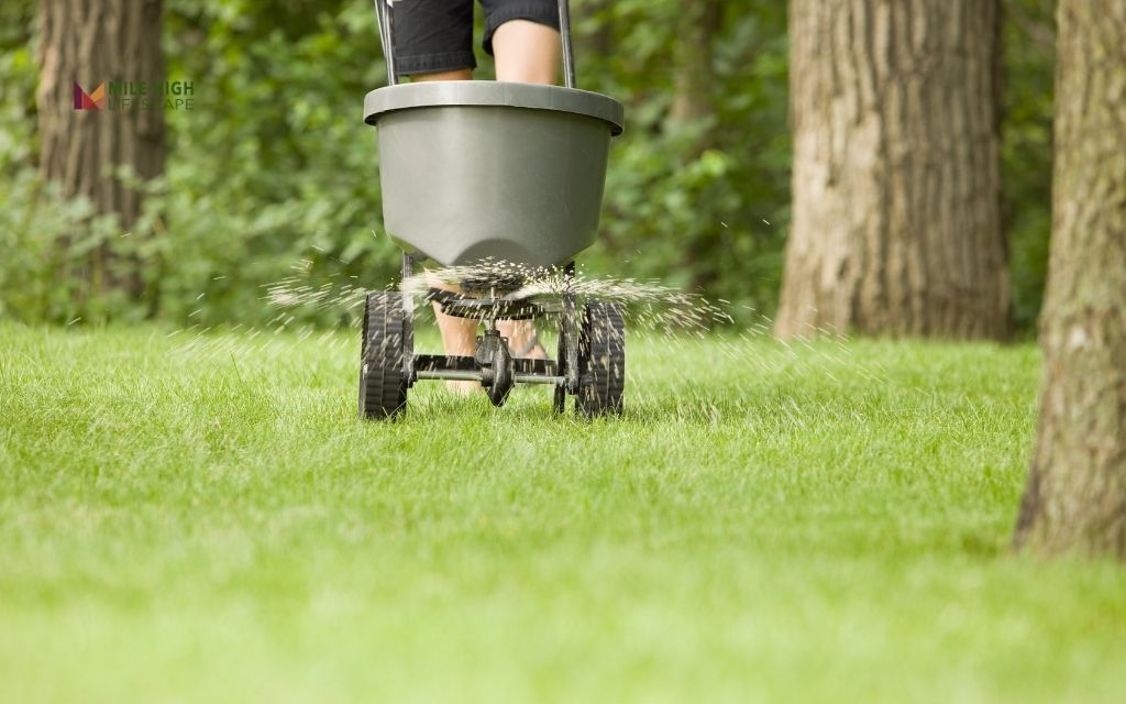 What fertilizer to use in fall?