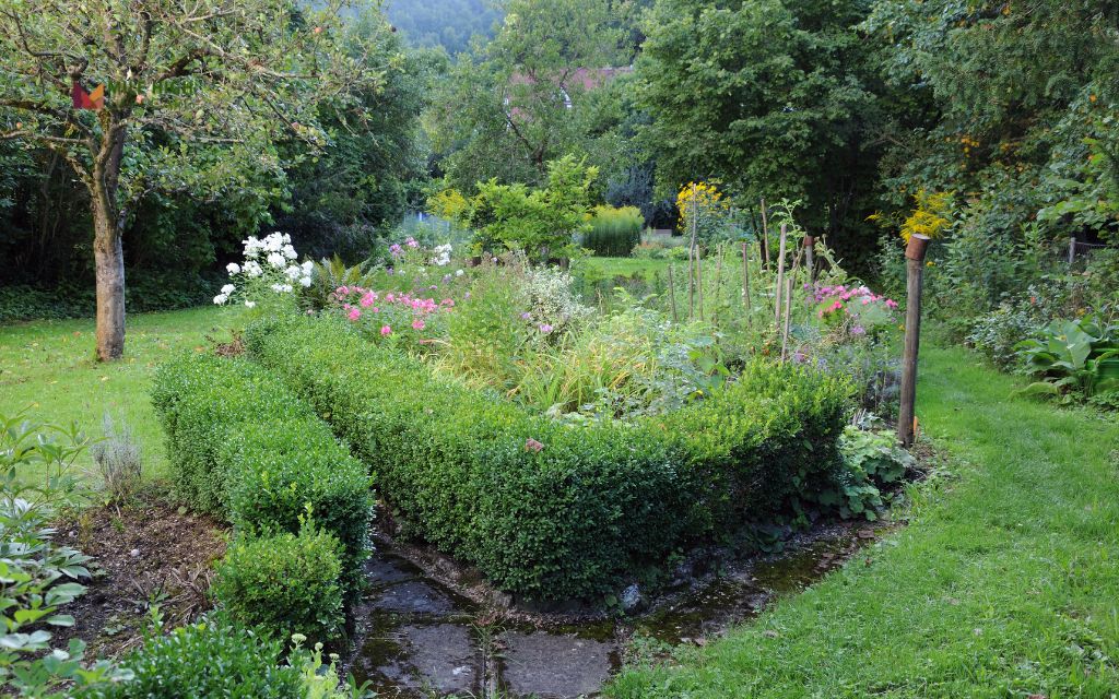 Best plants for a Denver cottage garden