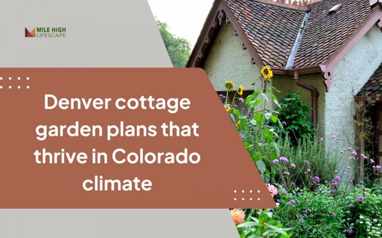Denver cottage garden plans that thrive in Colorado climate