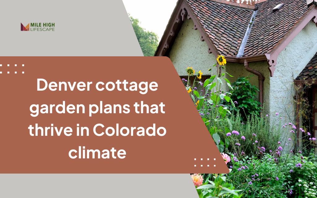 Denver cottage garden plans that thrive in Colorado climate
