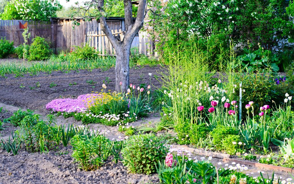 Step-by-step cottage garden plans
