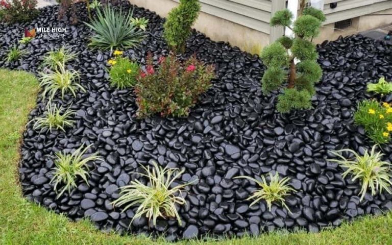 10 modern black rock landscape ideas for Denver homes