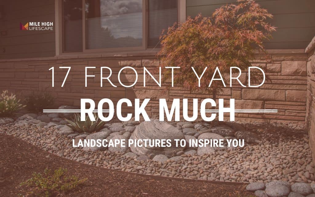 17 Front yard rock and mulch landscape pictures to inspire you