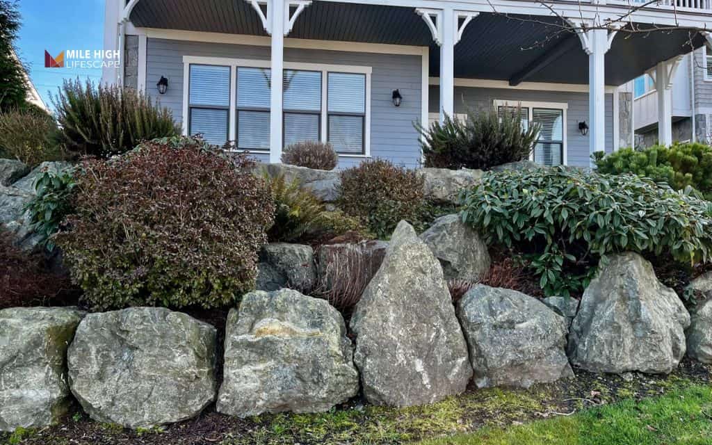 Boulder-centered front yard