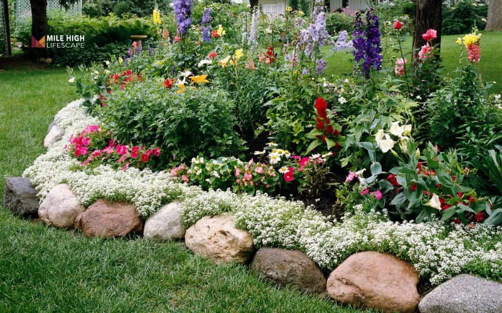 Classic border bed