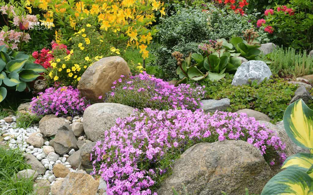 Colorful perennial bed with river rock base