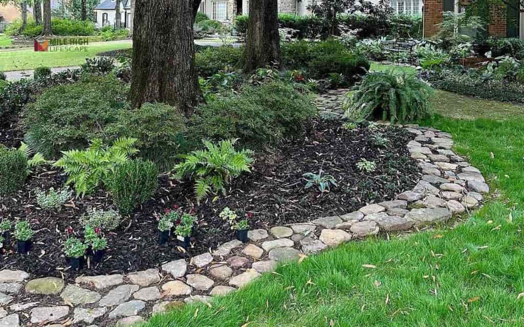Curved rock edging with cedar mulch