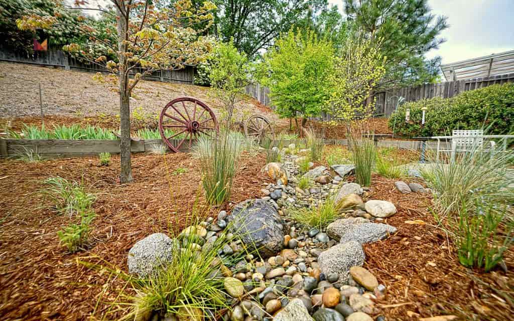Dry creek bed for drainage control