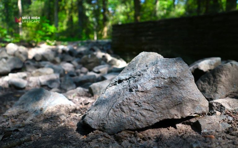 Is your rock sinking into the soil? 10 ways to stop it for good
