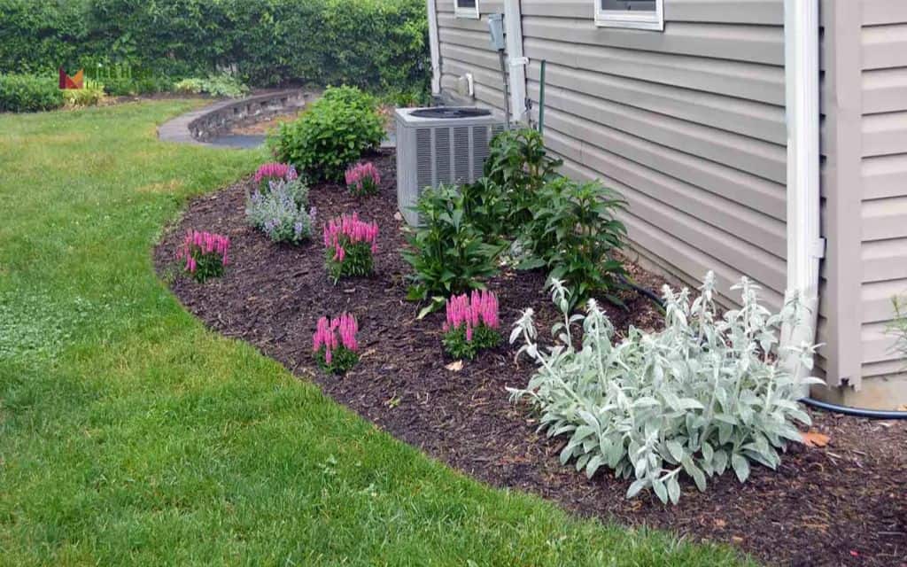 Pollinator-friendly mulch garden