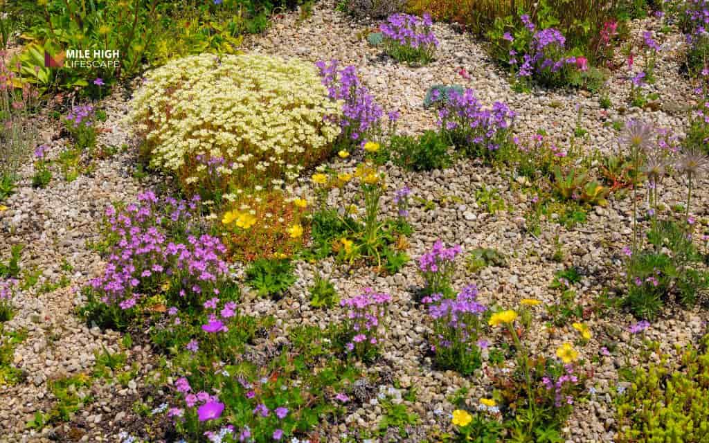 Pollinator-friendly rock bed