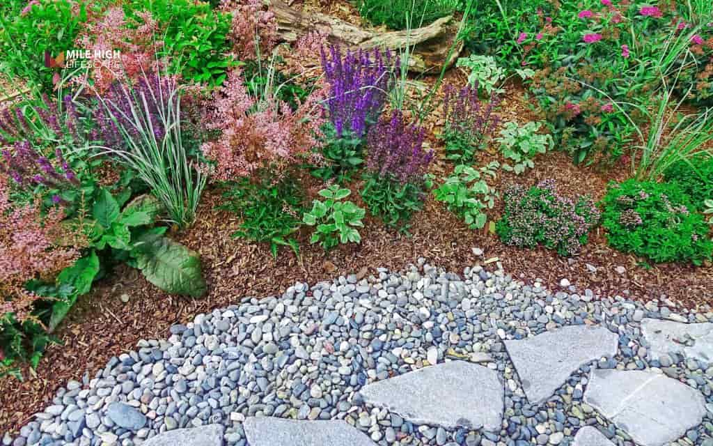 Pollinator-friendly rock garden